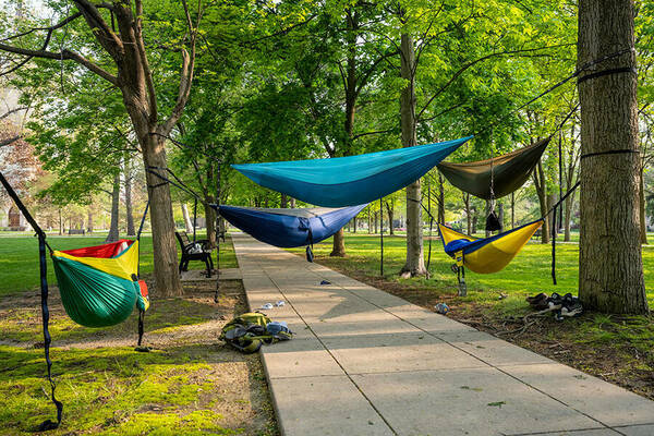 Students sleep in hammocks on the Main Quad.