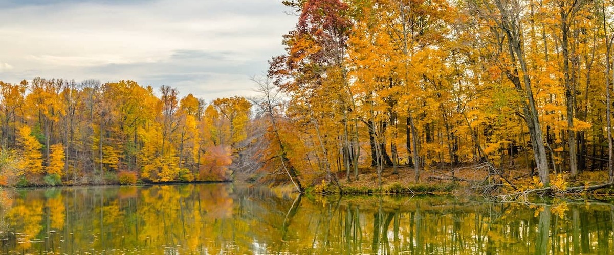 Potato Creek State Park Fall Hike Events International Student